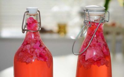 Homemade Immune Booster Drink to kick-start Your Immune System
