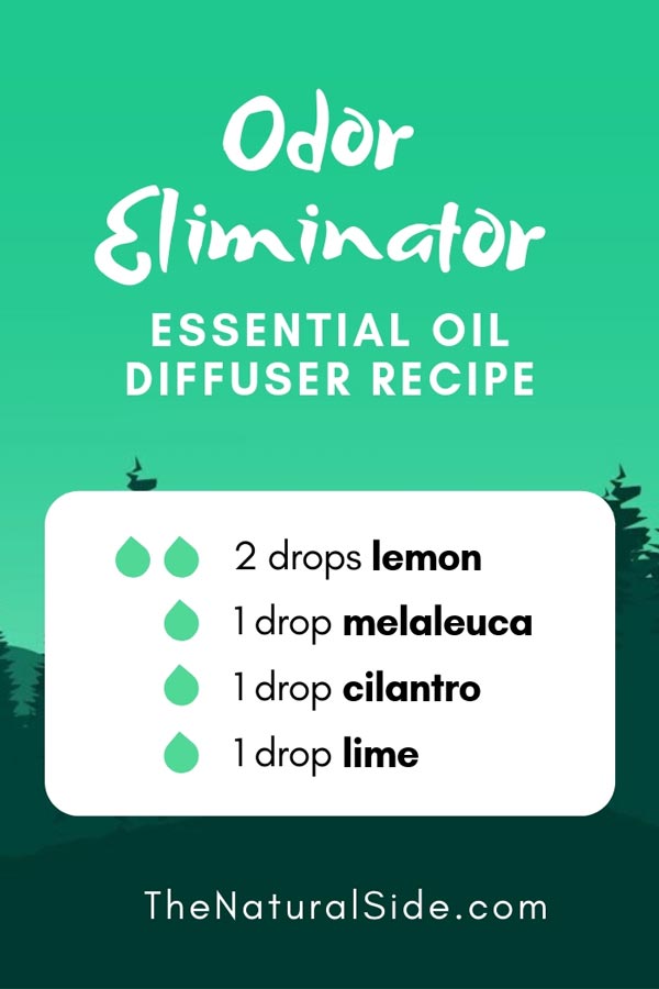 New to Essential Oils? Searching for Simple Essential Oil Combinations for Diffuser? Check out these 21 Easy Essential Oil Blends and Essential Oil Recipes Perfect for Beginners. #essentialoil #diffuser #headache Odor Eliminator Blend 2 drops lemon + 1 drop melaleuca + 1 drop cilantro + 1 drop lime