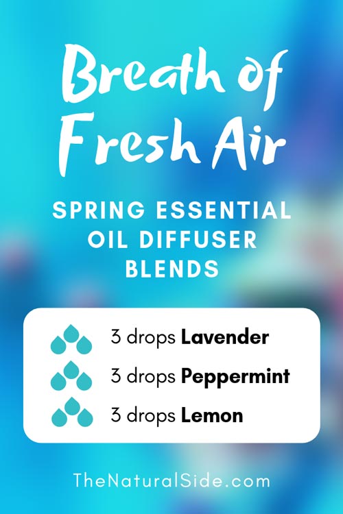 Breath of Fresh Air - Spring Essential Oil Diffuser Blends via thenaturalside.com #essentialoils #lavendor #peppermint #lemon
