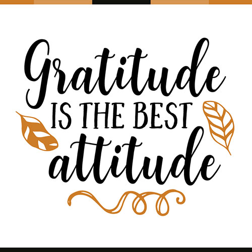 Want More Happiness? The Answer is Gratitude. Find 25 Wise and Positive Gratitude Quotes That Will Inspire You To Practice Gratitude.