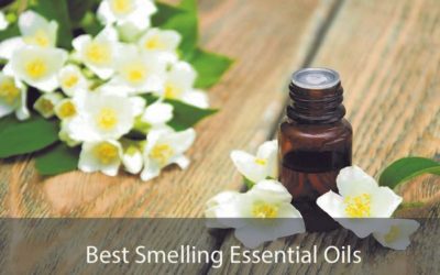 Try These 11 Best Smelling Essential Oils for Diffuser