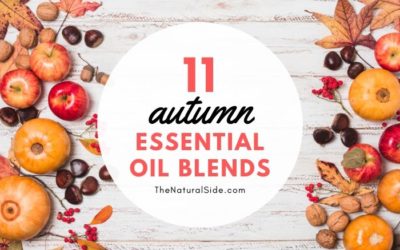 11 Fall Essential Oil Diffuser Blends to Warm Your Home Up