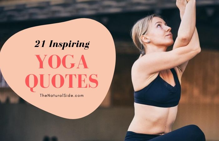 Yoga is About Strength, Happiness & Balance. Have a look at these 27 Truly Inspiring Yoga Quotes for Your Daily Practice & Celebrating Your Mind, Body & Spirit.