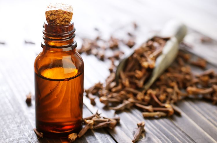 Essential Oils for Toothache